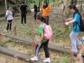 IMG 4889  800x449  IMG 4889  800x449