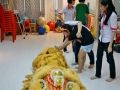23 cny azon 23 cny azon