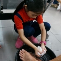rumah victory 2016 55 rumah victory 2016 55
