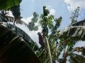 DSC01482  600x399  DSC01482  600x399
