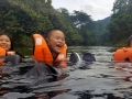 nature explorer 2017 dec 020410 nature explorer 2017 dec 020410