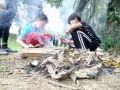 nature explorer 2017 dec 020512 nature explorer 2017 dec 020512