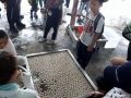 20180611 101435 20180611 101435