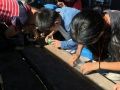 IMG 7141 IMG 7141
