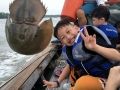 IMG 7333 IMG 7333