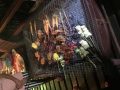 IMG 8915 IMG 8915