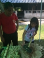 IMG 9056 IMG 9056
