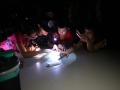 IMG 0909 IMG 0909