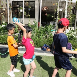 IMG 0924 IMG 0924