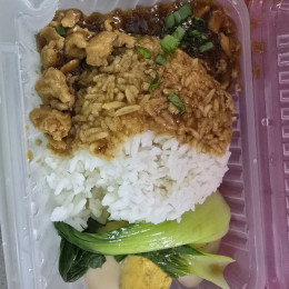 07 lunch packed meal