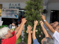 18 closing blessing tree