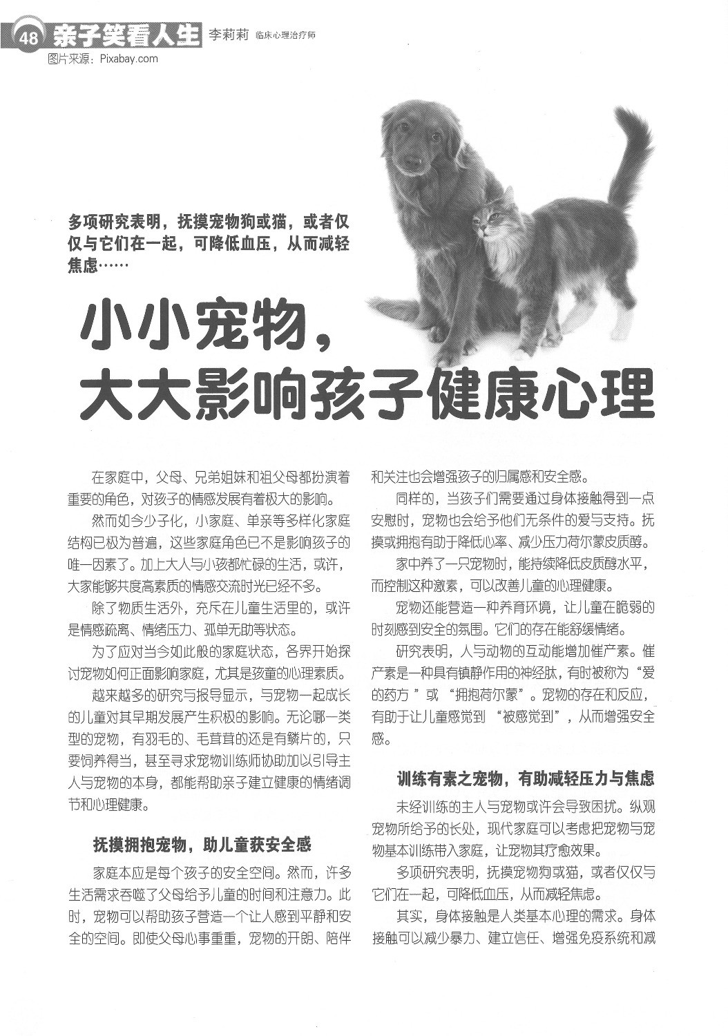 haizi 175  