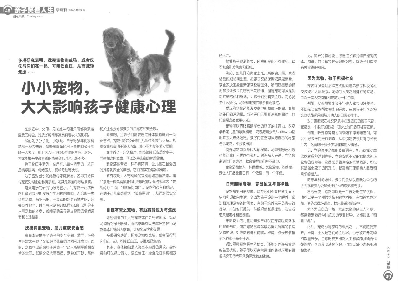 haizi 175  