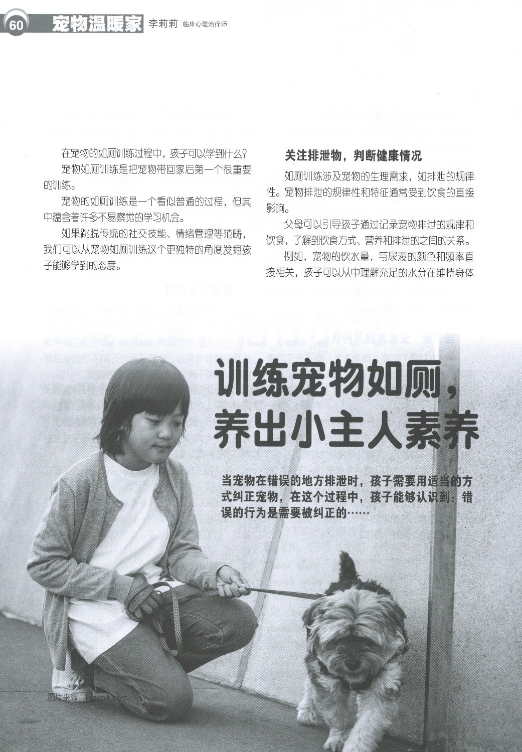 haizi 176  
