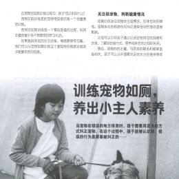 haizi 176  